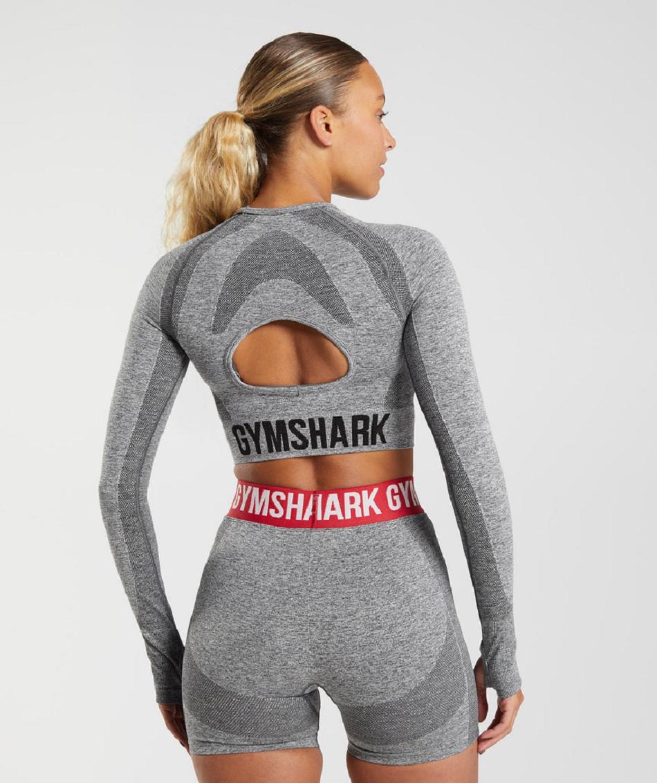 Corp Tops Gymshark Flex Long Sleeve Mujer Gris | CO 2523HAP